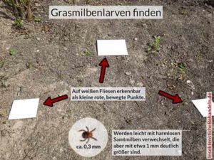 Grasmilben beim Menschen, Herbstgrasmilben Bisse behandeln